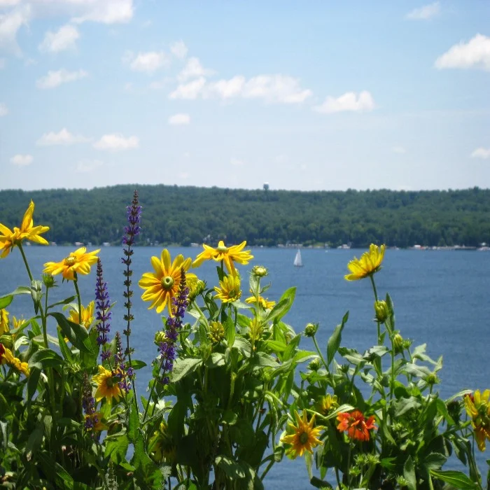 flowers overlook lake
